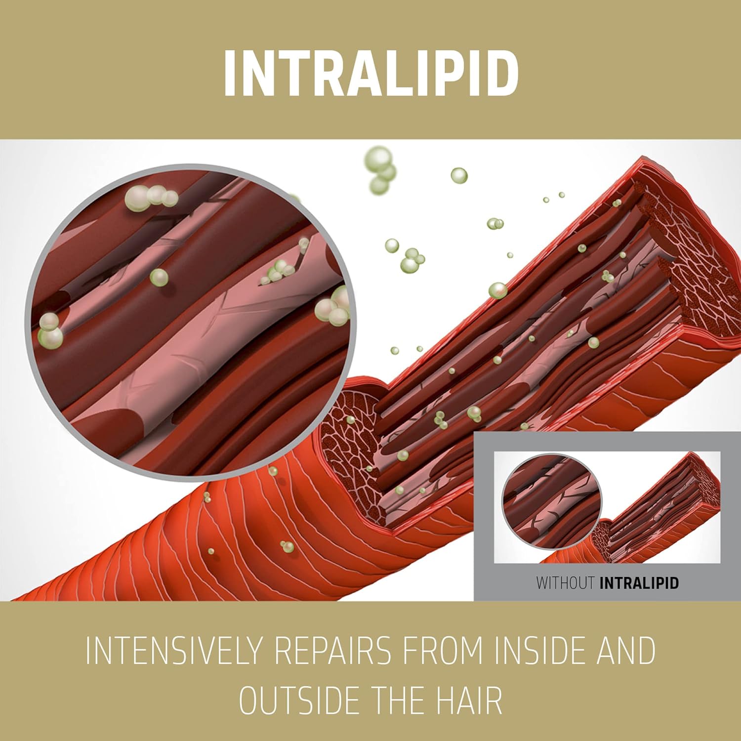 Shampoo Goldwell per capelli danneggiati