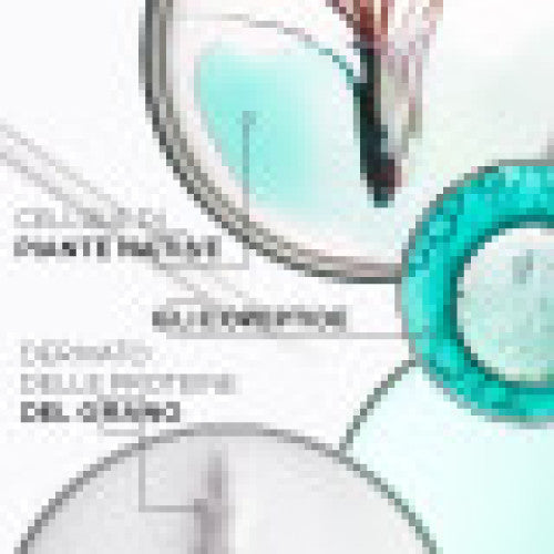 Kerastase Resistance Kit Extentioniste: Bain, Fondant, Masque, Serum